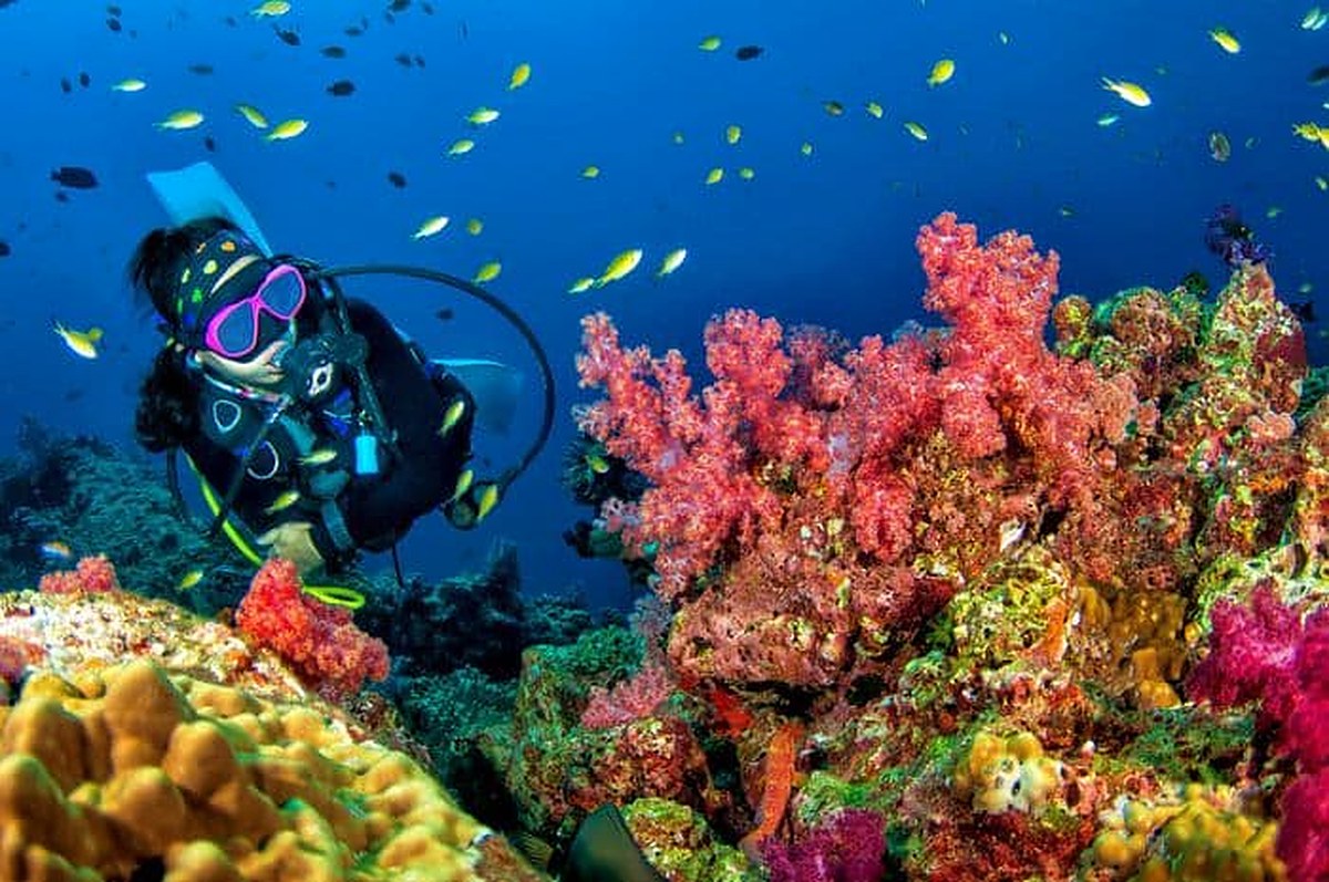 A diver exploring vibrant coral reefs off Koh Chang in eastern Thailand
