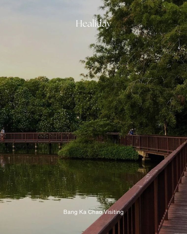 A quiet boardwalk over the water at Bang Kachao, Bangkok's green lung