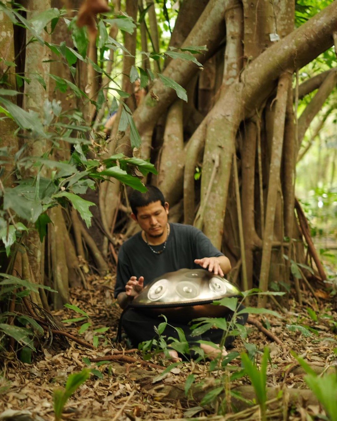 Forest sound healing