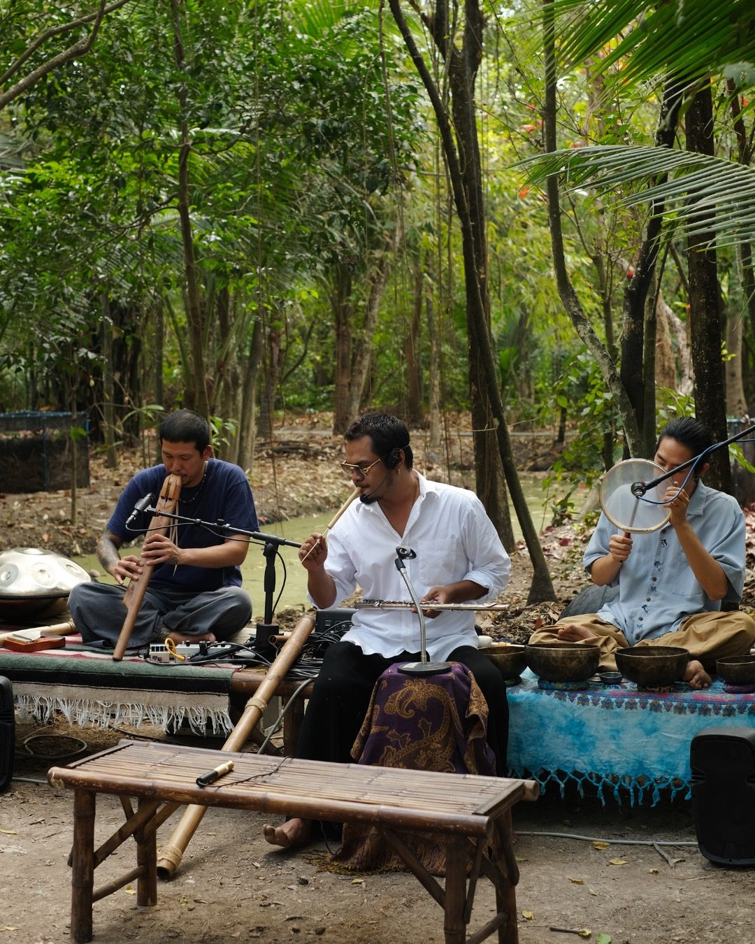Live music and sound therapy in the forest.
