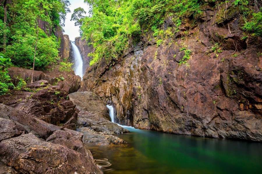 Jungle of Koh Chang