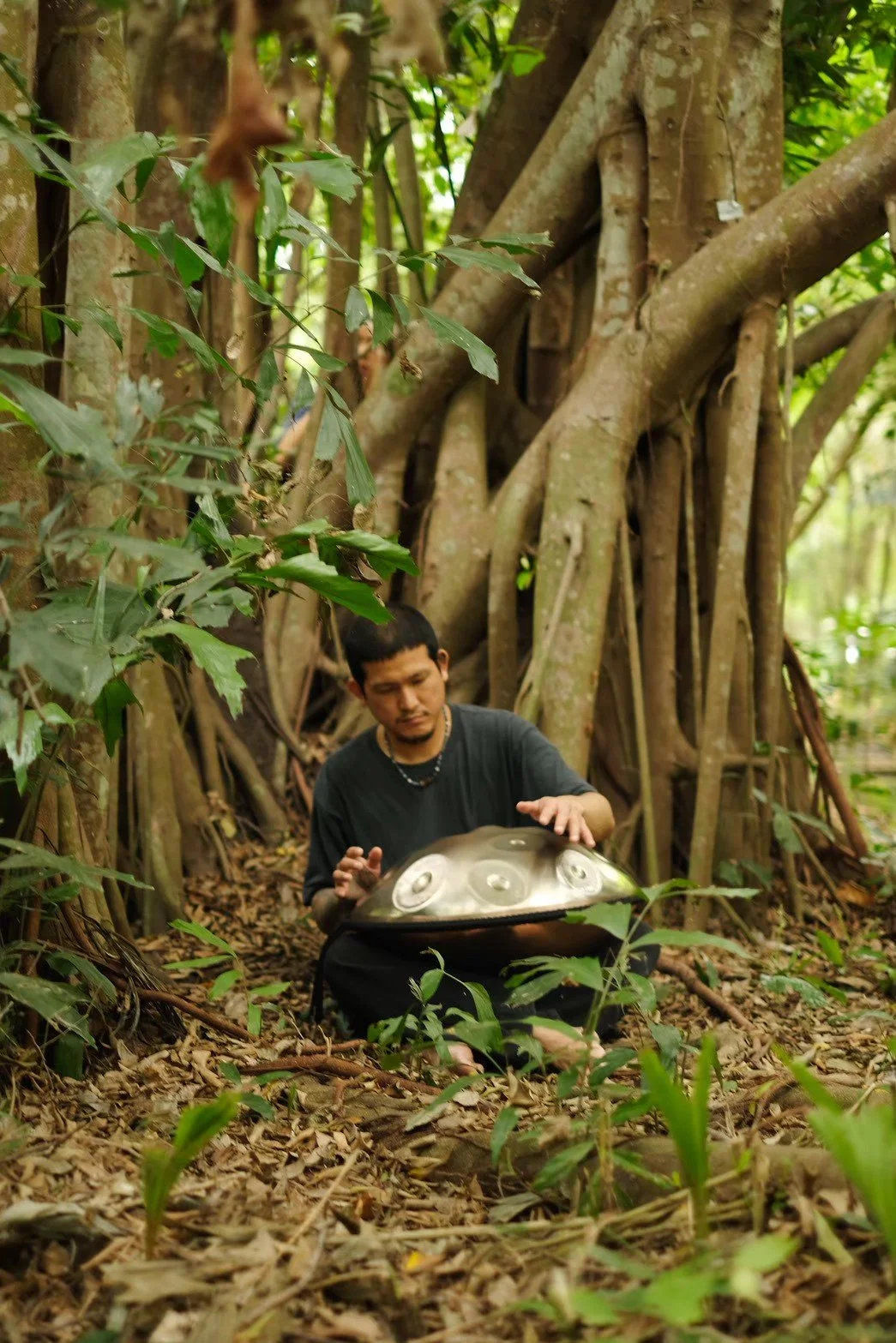 Forest bathing at Bang Krachao.