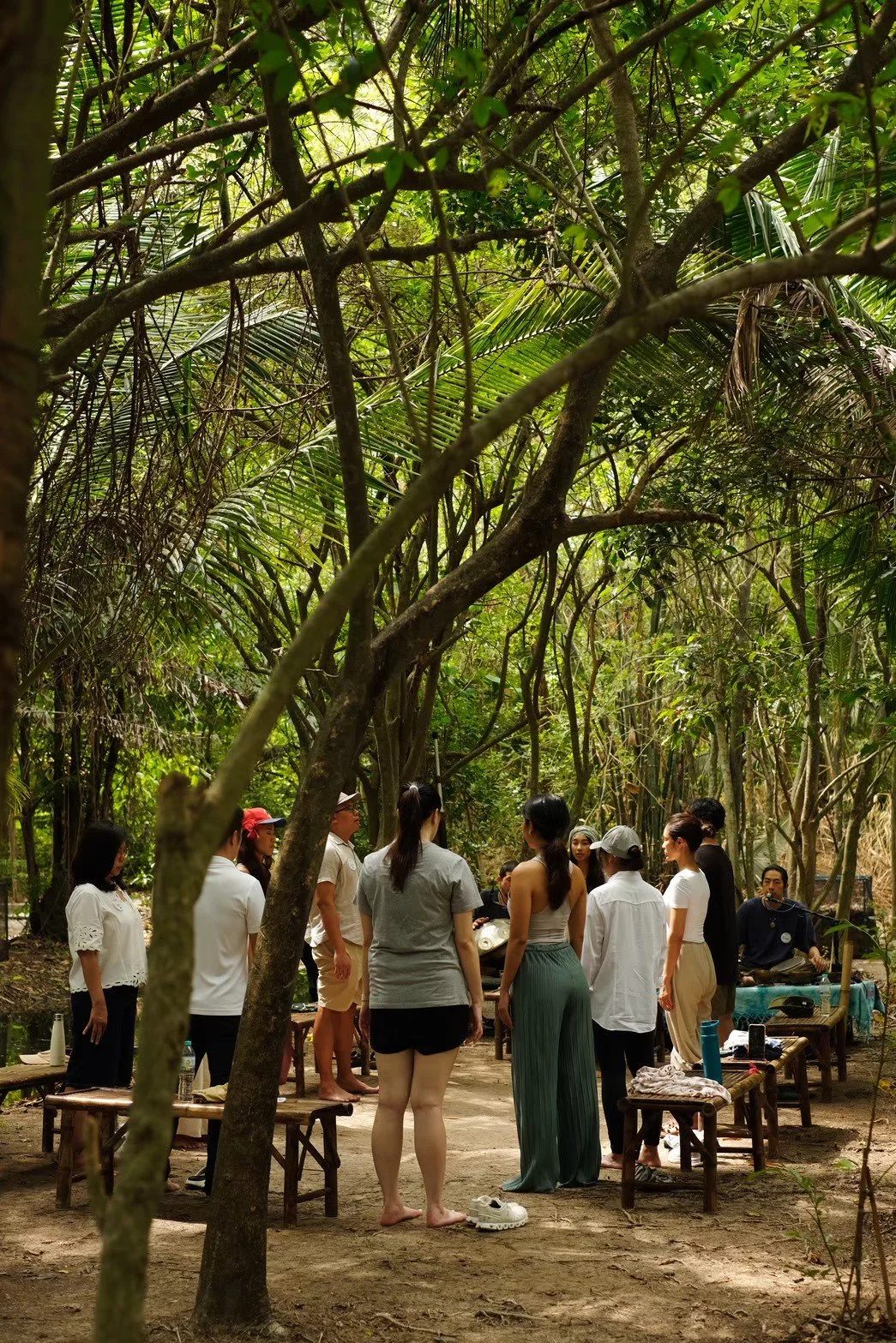 Guided forest walk.