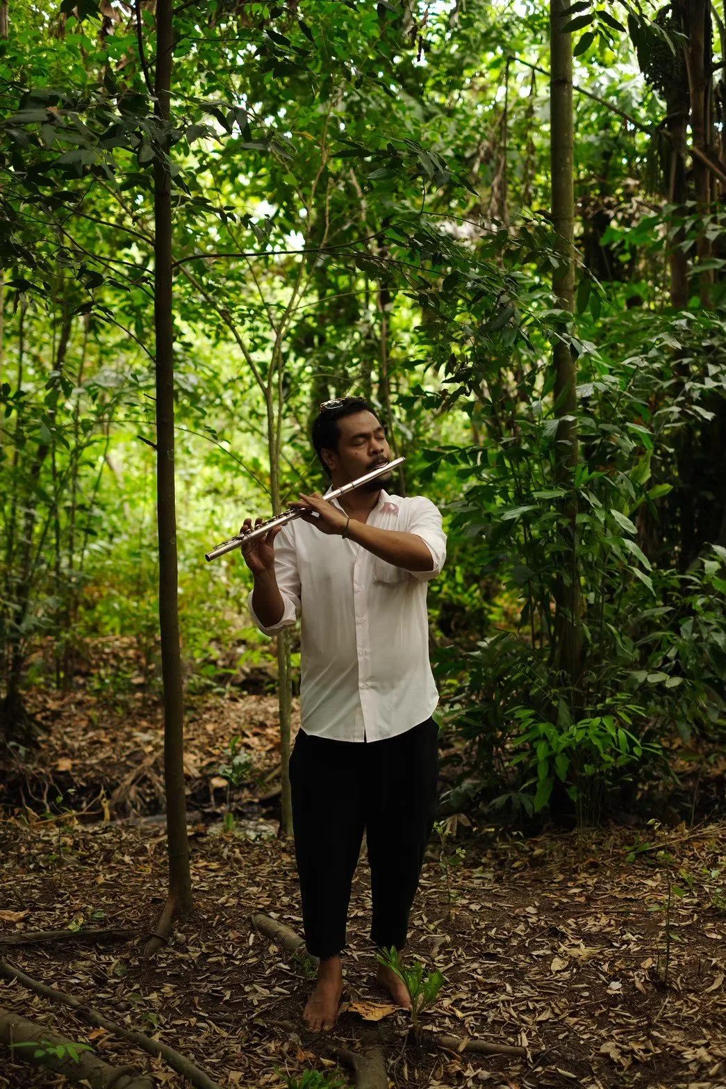 Forest bathing group.
