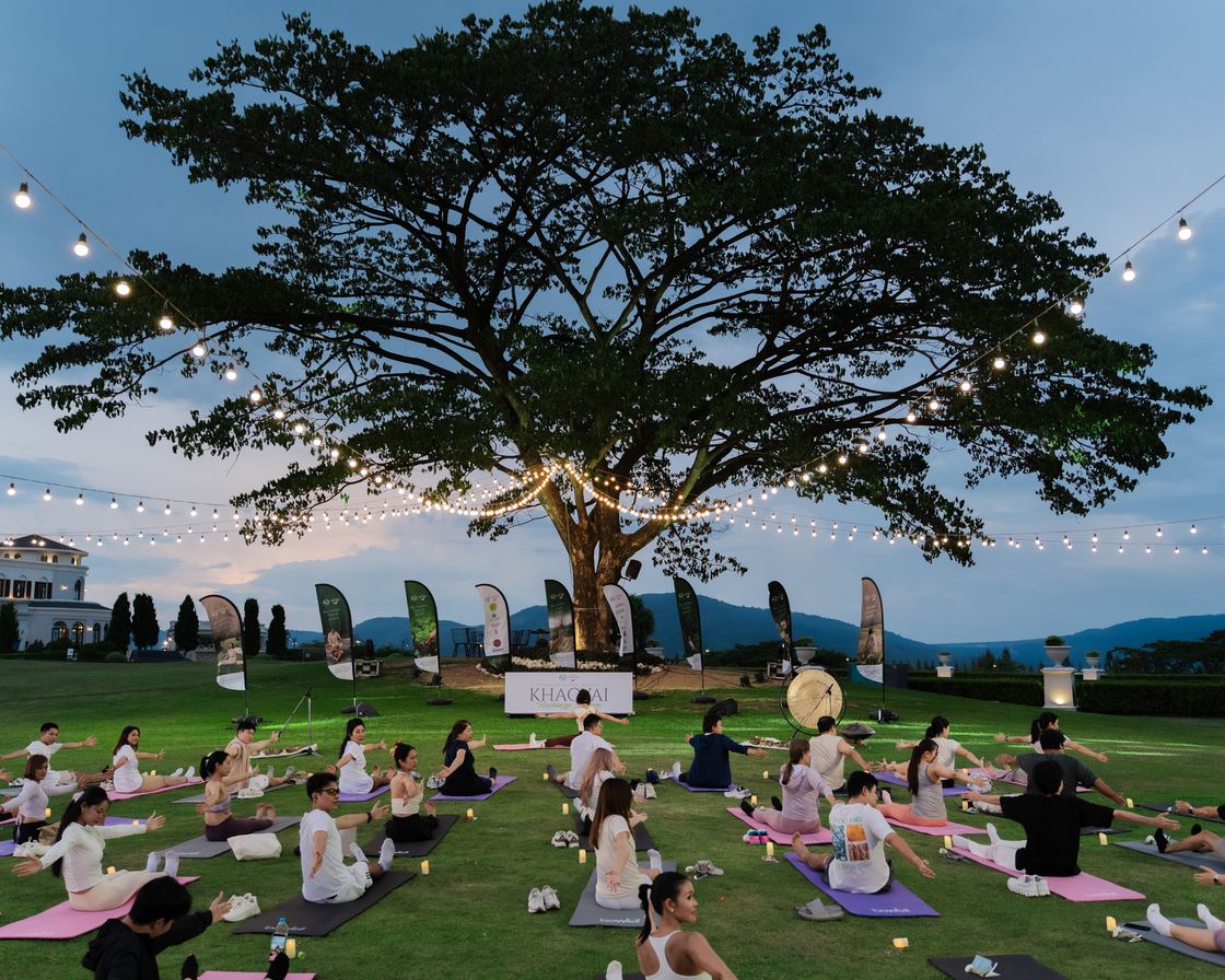 Group yoga under the trees at dusk during Recharge Your Body.