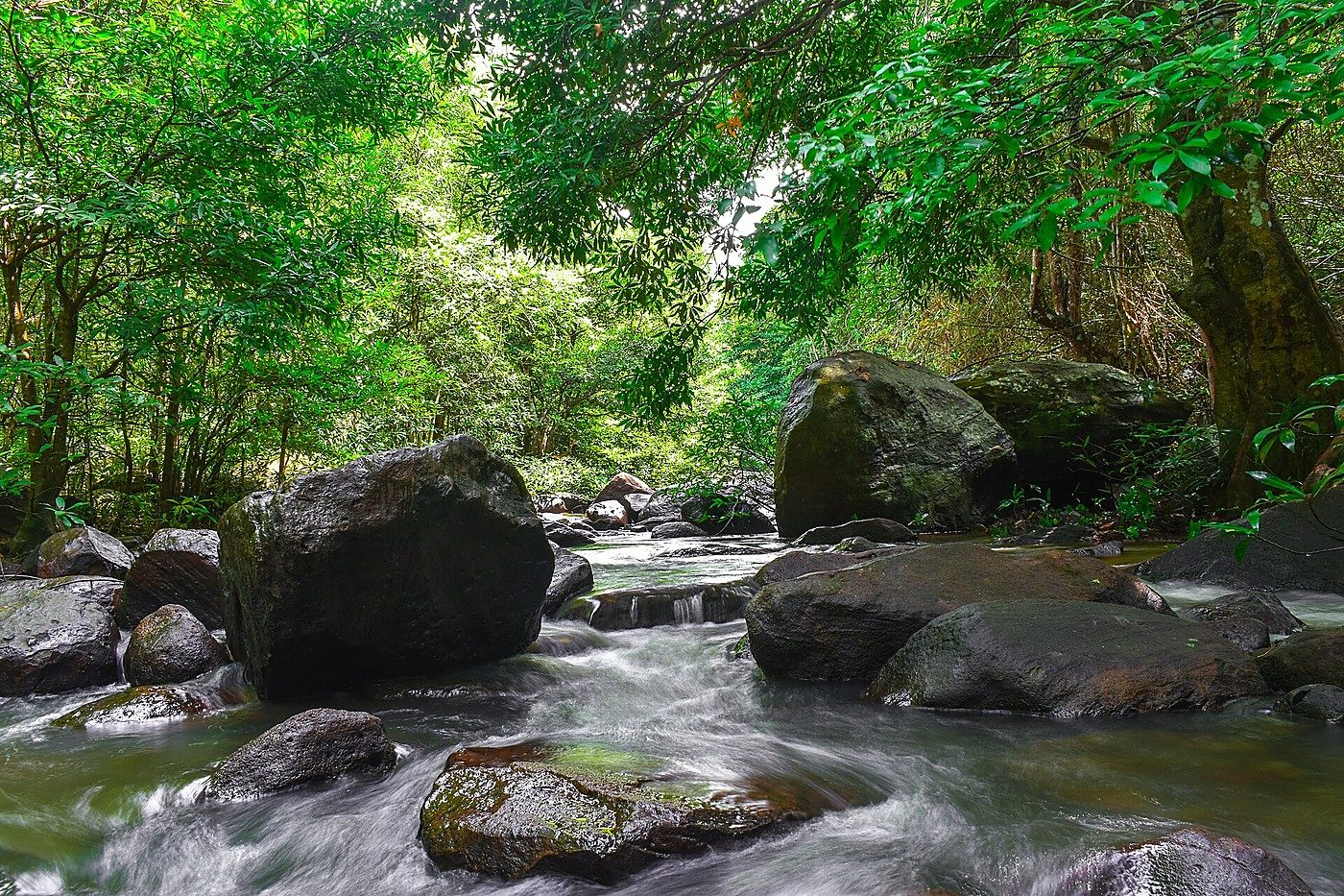 Khao Ito’s forested hills and waterfalls, two hours east in Prachin Buri.