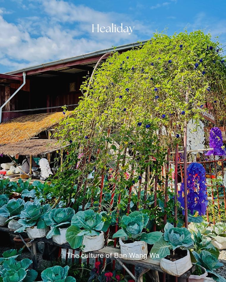 Community vegetable gardens at Ban Wang Wa, Rayong